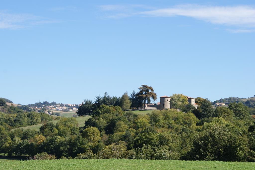 Chateau Du Besset Saint-Romain-de-Lerps Luaran gambar