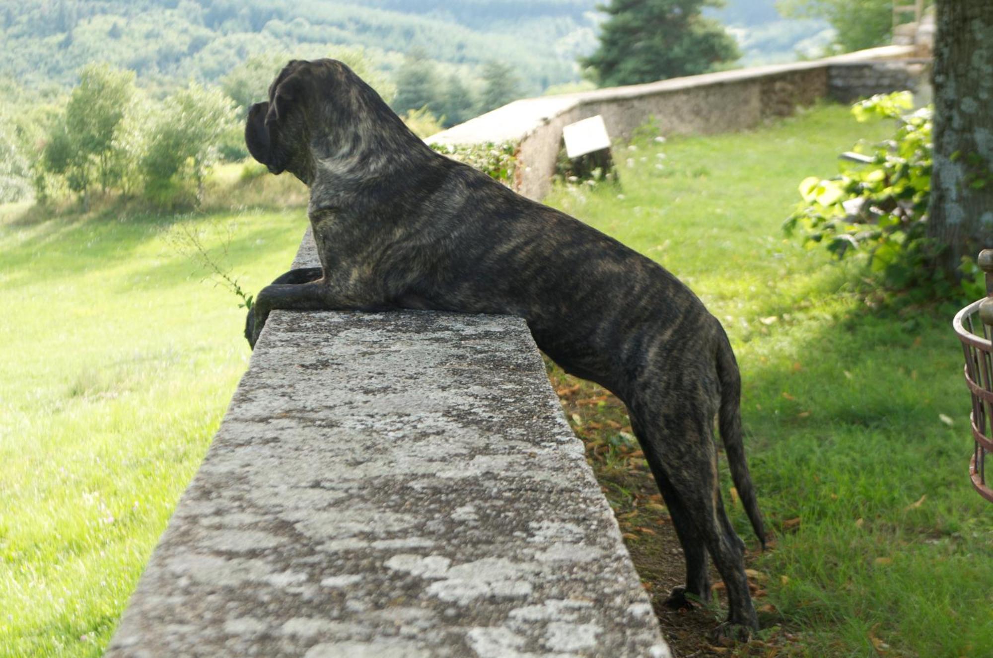 Chateau Du Besset Saint-Romain-de-Lerps Luaran gambar